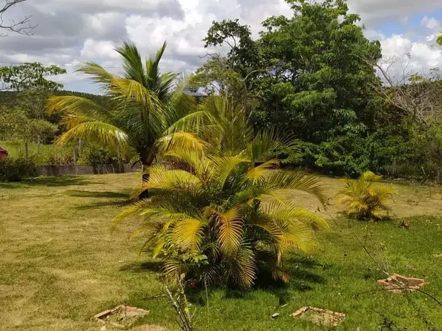 Imagem 13: Belíssima Chácara À Venda com 5.000 M², Área Verde, 3 Quartos e Conforto E