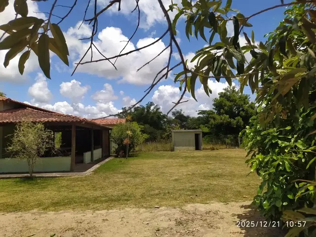 Imagem 4: Belíssima Chácara À Venda com 5.000 M², Área Verde, 3 Quartos e Conforto E