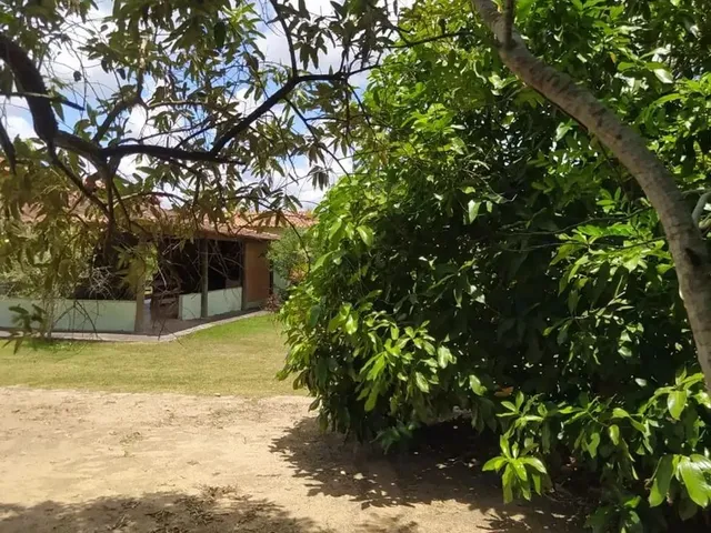Imagem 15: Belíssima Chácara À Venda com 5.000 M², Área Verde, 3 Quartos e Conforto E