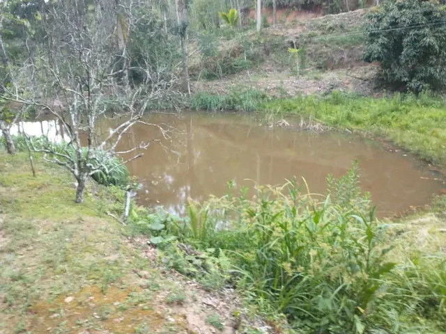 Imagem 14: Sítio Marechal Floriano 17 Henquitares