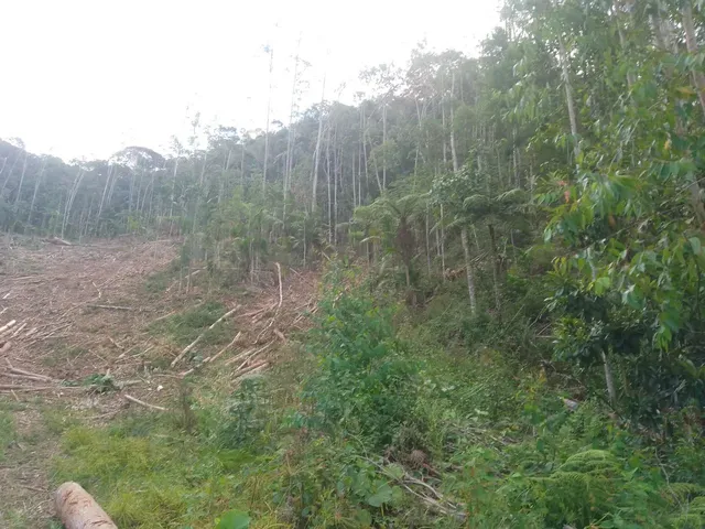 Imagem 6: Sítio Marechal Floriano 17 Henquitares