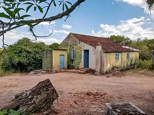 Imagem: Propriedade com 20Ha com 4,5Ha com Pessegueiros