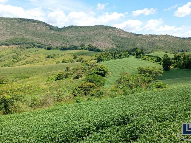 Imagem: Excelente Sitio dupla aptidao para venda