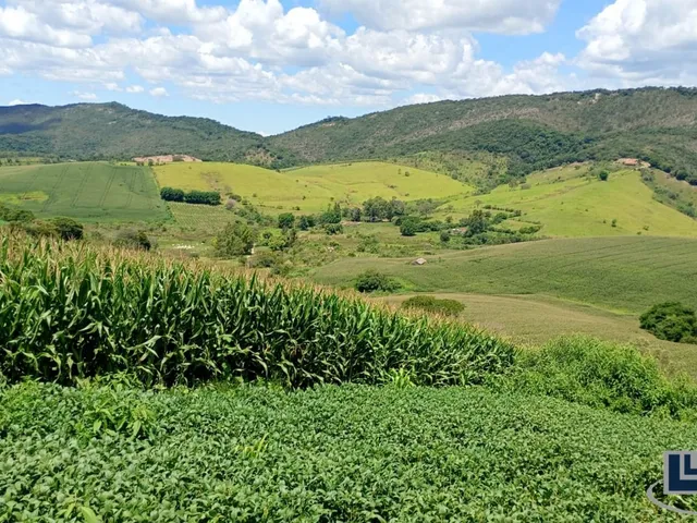 Imagem 7: Excelente Sitio dupla aptidao para venda em Tres Coracoes-MG com 24 hectares, atualmente