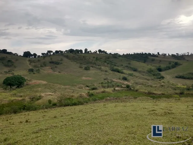 Imagem 4: Excelente Sitio dupla aptidao para venda em Tres Coracoes-MG com 24 hectares, atualmente