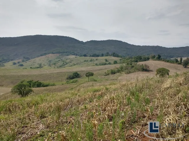 Imagem 16: Excelente Sitio dupla aptidao para venda em Tres Coracoes-MG com 24 hectares, atualmente
