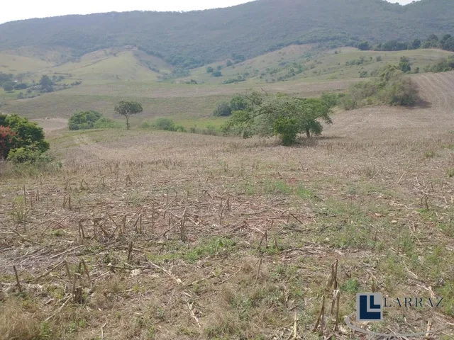 Imagem 11: Excelente Sitio dupla aptidao para venda em Tres Coracoes-MG com 24 hectares, atualmente