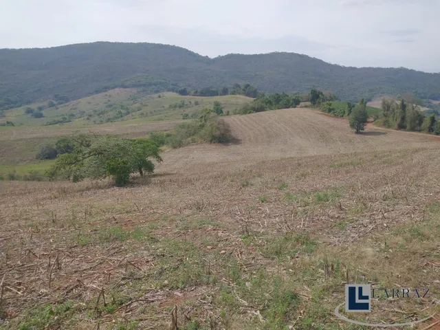 Imagem 15: Excelente Sitio dupla aptidao para venda em Tres Coracoes-MG com 24 hectares, atualmente