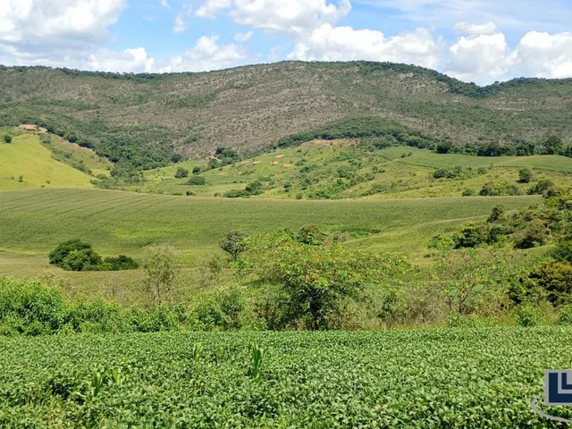 Imagem 4: Excelente fazenda dupla aptidao para venda em Tres Coracoes-MG com 96,17 hectares