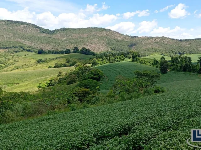 Imagem 12: Excelente fazenda dupla aptidao para venda em Tres Coracoes-MG com 96,17 hectares