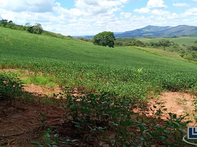 Imagem 6: Excelente fazenda dupla aptidao para venda em Tres Coracoes-MG com 96,17 hectares