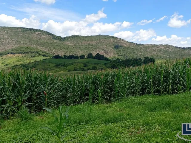 Imagem 7: Excelente fazenda dupla aptidao para venda em Tres Coracoes-MG com 96,17 hectares