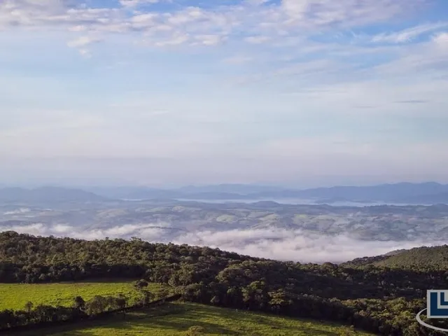 Imagem 9: Excelente fazenda dupla aptidao para venda em Tres Coracoes-MG com 96,17 hectares