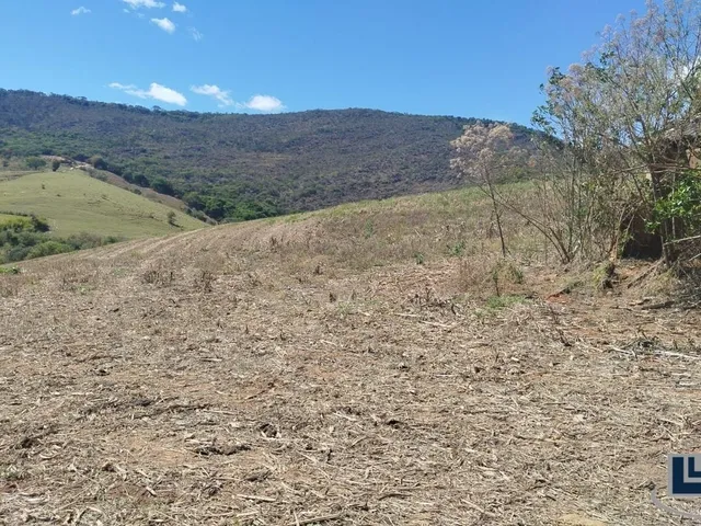 Imagem 13: Excelente fazenda dupla aptidao para venda em Tres Coracoes-MG com 96,17 hectares