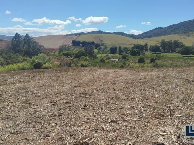 Imagem 8: Excelente fazenda dupla aptidao para venda em Tres Coracoes-MG com 96,17 hectares