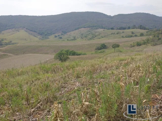 Imagem 3: Excelente fazenda dupla aptidao para venda em Tres Coracoes-MG com 96,17 hectares