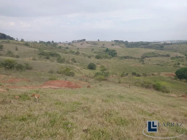 Imagem 11: Excelente fazenda dupla aptidao para venda em Tres Coracoes-MG com 96,17 hectares