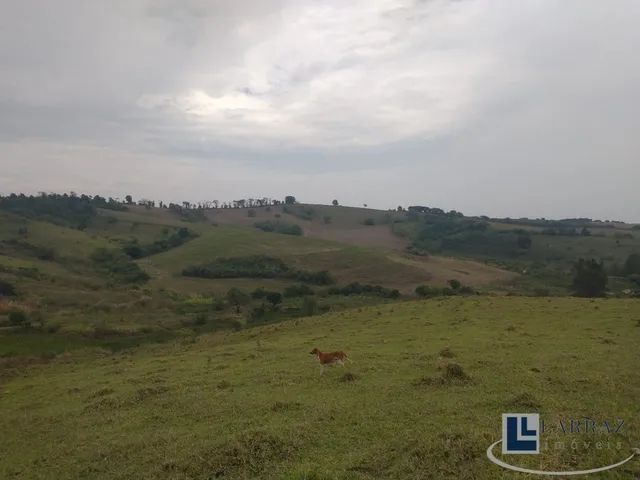 Imagem 5: Excelente fazenda dupla aptidao para venda em Tres Coracoes-MG com 96,17 hectares