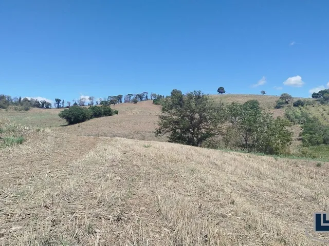 Imagem 2: Excelente fazenda dupla aptidao para venda em Tres Coracoes-MG com 96,17 hectares