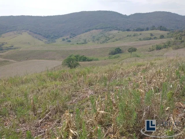 Imagem 16: Excelente fazenda dupla aptidao para venda em Tres Coracoes-MG com 96,17 hectares