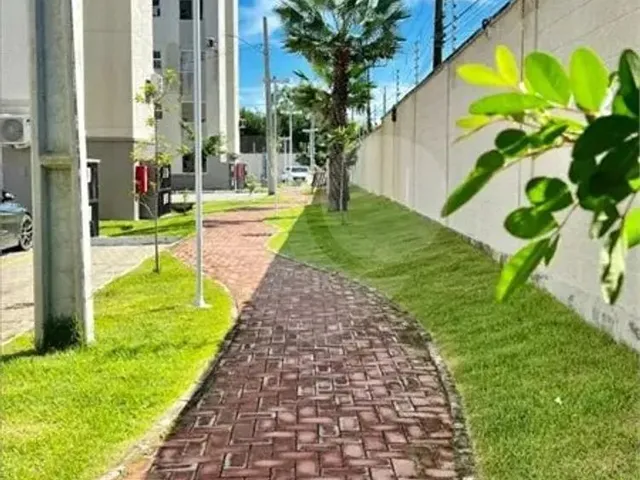 Imagem 10: Apartamento com 2 Quartos À Venda em Tamatanduba - Ce