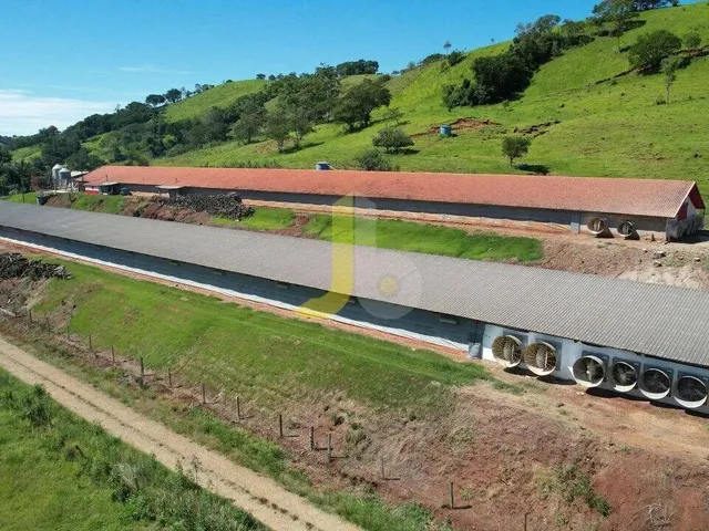 Imagem: Sítio com 2 Aviários a Venda