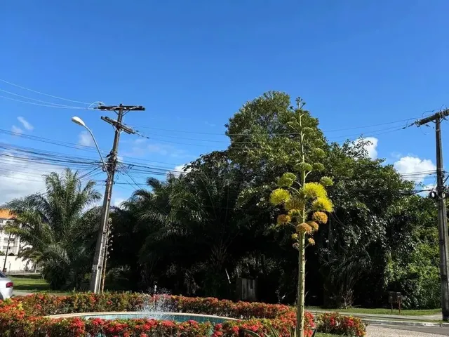 Imagem 12: Apartamento 2/4 com Varanda no Reserva Parque em Abrantes!