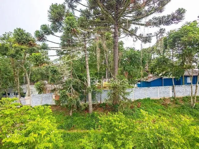Imagem 8: Apartamento Mobiliado Mossunguê