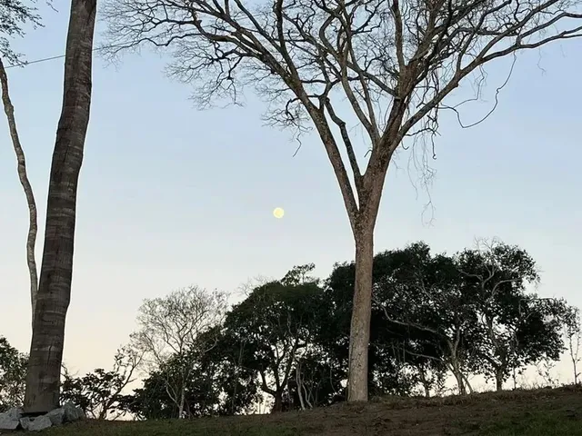 Imagem 5: Chalé para Venda Possui 123 M² com 3 Quartos em Pedro do Rio - Petrópolis - Rj