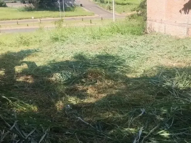 Imagem: Terreno em Frente Ao Tribunal de Contas