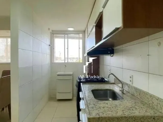 Imagem 11: Cobertura para Aluguel e Venda Recanto das Palmeiras