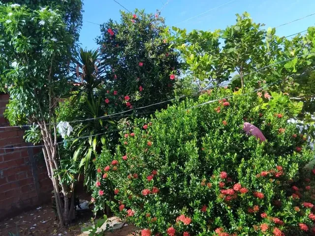 Imagem 4: Vendo Esta Casa! Tel/Whatsapp: