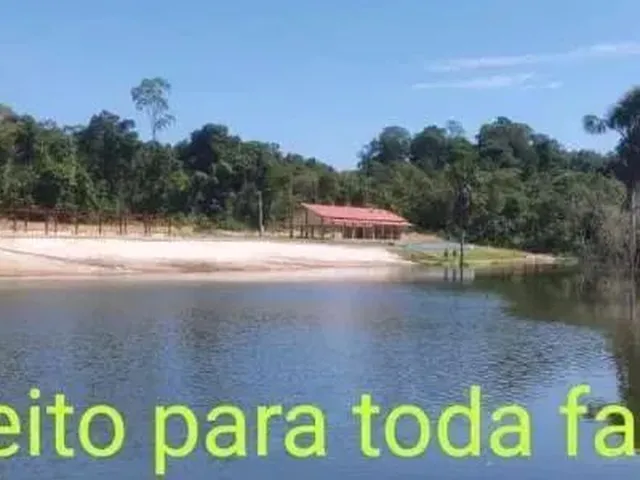 Imagem 7: Chácaras Rio Negro Lotes Grandes 1000M2