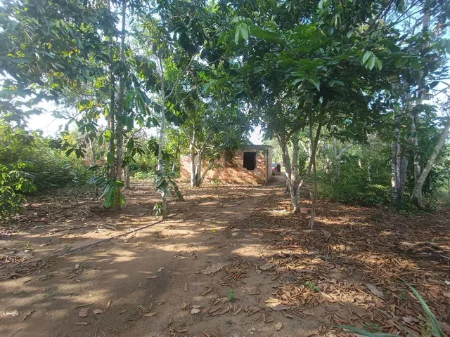 Imagem: /Lote com 800 M2 em Açutuba