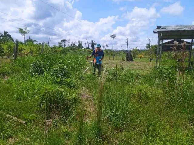 Imagem: Terreno no Maniquara 30X50 M² (Manacapuru