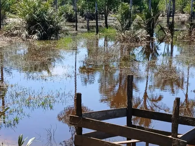 Imagem: A fazenda possui 800.000m² de Área e está localizado em