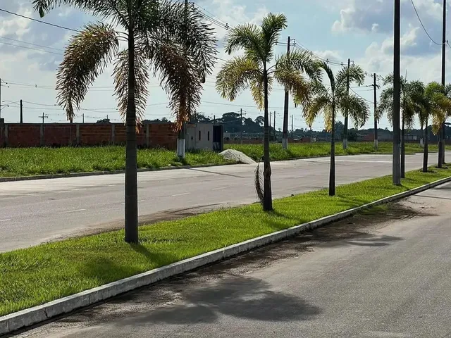 Imagem 6: Nova Amazonas com Lotes Prontos para Construir