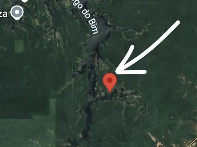 Imagem 7: Lago do Ubin - Terreno com 78.903M2, Casa com 2 Quartos, Varanda e Árvores Frutíferas