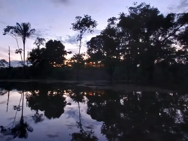 Imagem 10: Lago do Ubin - Terreno com 78.903M2, Casa com 2 Quartos, Varanda e Árvores Frutíferas