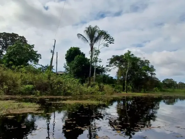 Imagem 11: Lago do Ubin - Terreno com 78.903M2, Casa com 2 Quartos, Varanda e Árvores Frutíferas