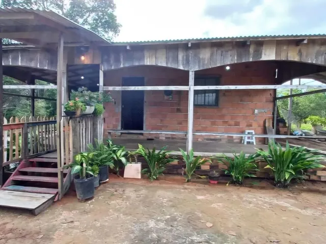 Imagem 13: Lago do Ubin - Terreno com 78.903M2, Casa com 2 Quartos, Varanda e Árvores Frutíferas