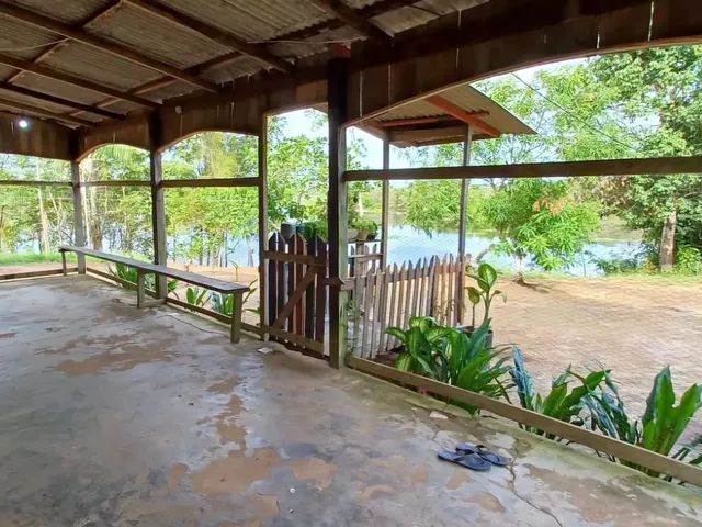 Imagem 15: Lago do Ubin - Terreno com 78.903M2, Casa com 2 Quartos, Varanda e Árvores Frutíferas