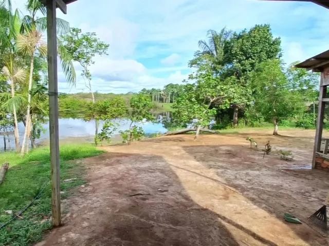 Imagem 16: Lago do Ubin - Terreno com 78.903M2, Casa com 2 Quartos, Varanda e Árvores Frutíferas