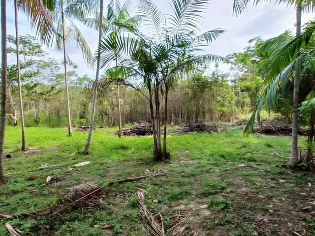 Imagem 2: Lago do Ubin - Terreno com 78.903M2, Casa com 2 Quartos, Varanda e Árvores Frutíferas