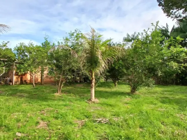 Imagem 3: Lago do Ubin - Terreno com 78.903M2, Casa com 2 Quartos, Varanda e Árvores Frutíferas
