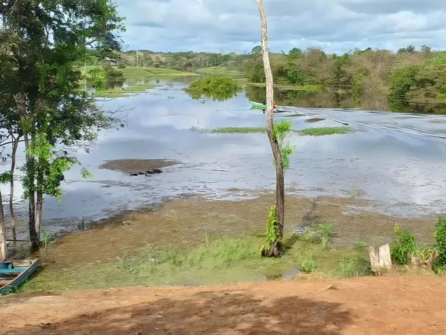 Imagem 5: Lago do Ubin - Terreno com 78.903M2, Casa com 2 Quartos, Varanda e Árvores Frutíferas
