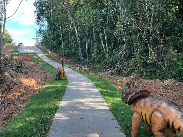 Imagem 10: Terreno Limpo da Chácara Maiápolis