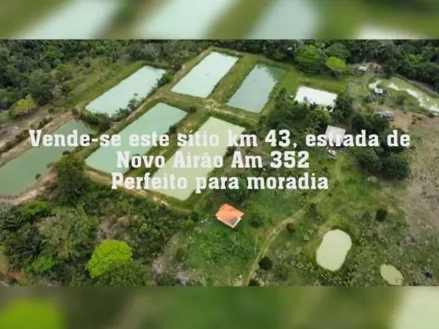 Imagem: Sítio na Estrada de Novo Airão - Am