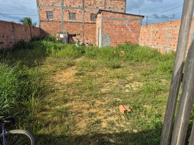 Imagem 2: ?Lote de Esquina Á Venda - Nova Manaus