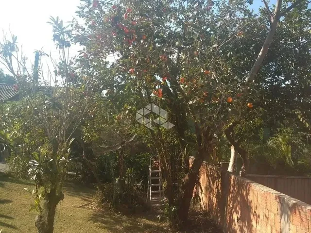 Imagem 6: Casa 2 Dormitórios Porto da Lagoa - Florianópolis/ Sc